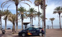 Храбрый турист на Тенерифе героически бросился за грабителем телефона hrabryj turist na tenerife geroicheski brosilsya za grabitelem telefona-fabrec-ru-0