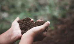 Почвоведы МГУ имени Ломоносова о роли почвы в здоровье населения pochvovedy mgu imeni lomonosova o roli pochvy v zdorove naseleniya-fabrec-ru-0