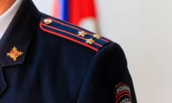 Полиция Приморья раскрыла поджог Suzuki Hustler во Владивостоке policziya primorya raskryla podzhog vo vladivostoke-fabrec-ru-0