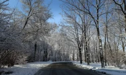 Приморью обещают комфортную оттепель благодаря антициклону primoryu obeshhayut komfortnuyu ottepel blagodarya anticziklonu-fabrec-ru-0