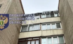 Прокуратура Подмосковья усиливает контроль после инцидентов prokuratura podmoskovya usilivaet kontrol posle inczidentov-fabrec-ru-0