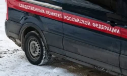 СКР задержал педофила за преступление на Колпинском шоссе skr zaderzhal pedofila za prestuplenie na kolpinskom shosse-fabrec-ru-0