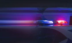 v lenoblasti raskryli delo o propazhe malchika-fabrec-ru-0