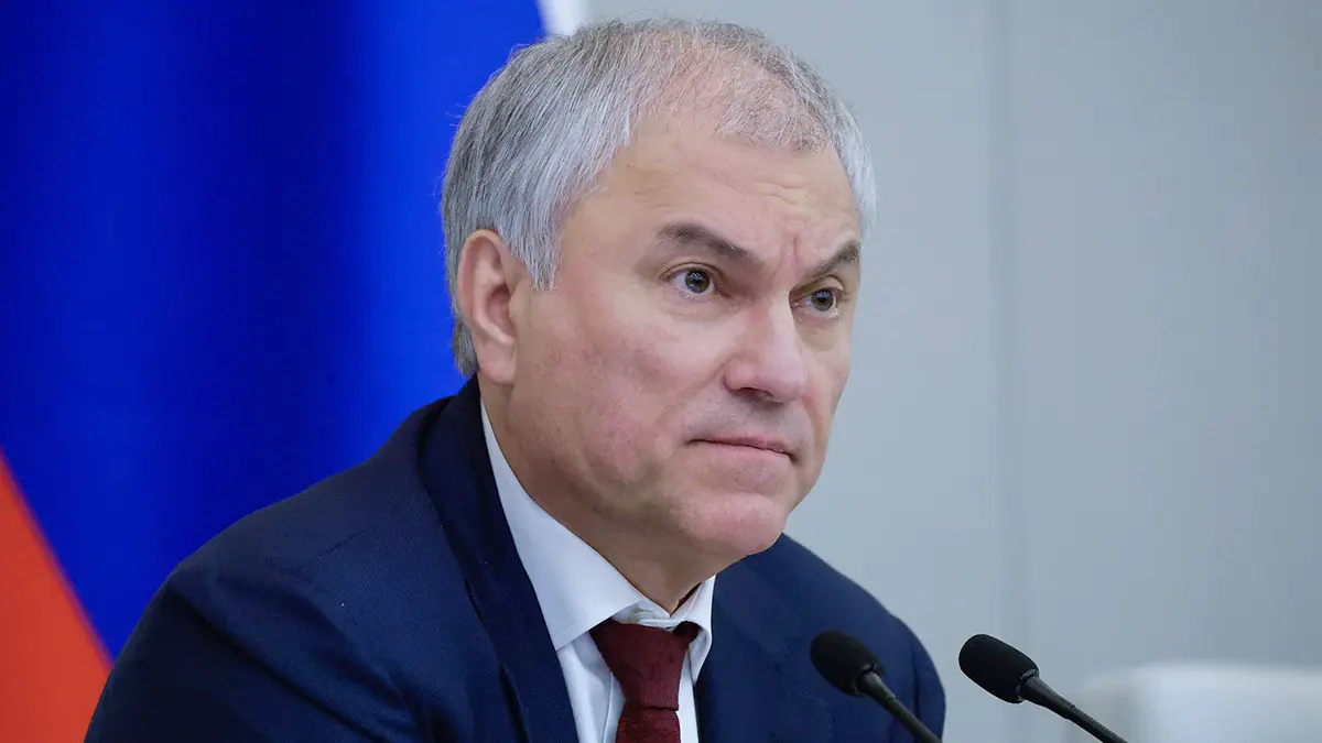 Володин сообщил о принятии закона, направленного на поддержку многодетных семей