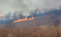 Иван Степанов объявил особый противопожарный режим в Хасанском округе ivan stepanov obyavil osobyj protivopozharnyj rezhim v hasanskom okruge-fabrec-ru-0
