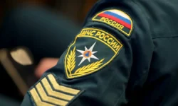 mchs ostanovilo krupnyj pozhar v rostovskoj oblasti-fabrec-ru-0