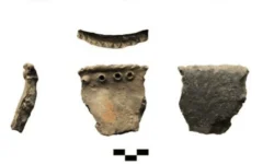 Растительная пища в керамике: новые данные археологов из Европы rastitelnaya pishha v keramike novye dannye arheologov iz evropy-fabrec-ru-0