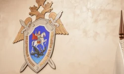 СК РФ расследует инцидент с ножом между школьниками в Подмосковье sk rf rassleduet inczident s nozhom mezhdu shkolnikami v podmoskove-fabrec-ru-0