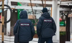 УМВД и Прокуратура Приморья защищают животных в Артёме и Находке umvd i prokuratura primorya zashhishhayut zhivotnyh v artyome i nahodke-fabrec-ru-0