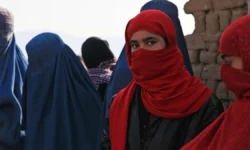 vliyanie trudovyh migrantov iz afganistana na rynok truda rossii-fabrec-ru-0