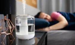 mariya zolotareva rtu mirea ob opasnostyah uvlazhnitelej vozduha-fabrec-ru-0