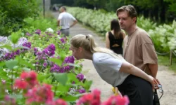 moskva vstrechaet vesnu  festivali v aptekarskom vdnh gorkogo-fabrec-ru-0