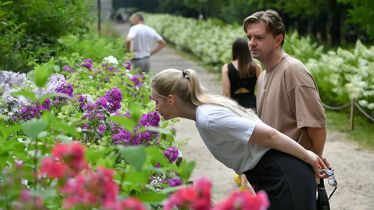 Фестиваль «Москва, расцветай!» пройдет с 15 апреля по 15 мая