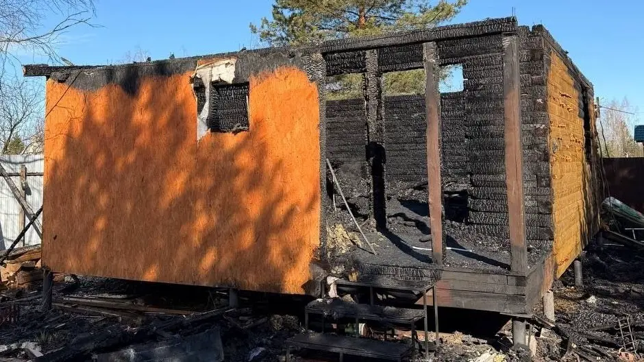 Стала известна причина пожара в Подмосковье, в котором погибли два человека