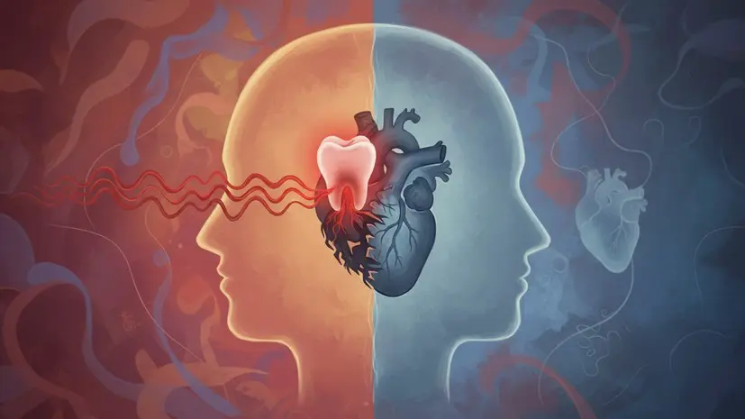 Врач Рогачёв: странная зубная боль может предвещать инфаркт