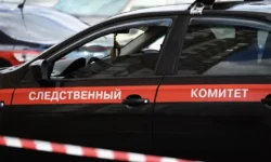 tatyana bekasova i peterburg istoriya kulicha kak urok otvetstvennosti-fabrec-ru-0