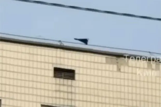 Вводная картинка
