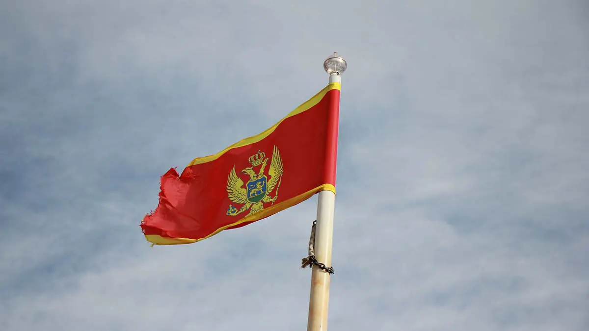 Десять россиян пострадали при распылении слезоточивого газа в Черногории