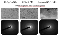 sechenovskij universitet nanochasticzy oksida czeriya pobedili stress-fabrec-ru-0