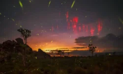 unikalnyj snimok kak sprajtmeduza stala atmosfernoj molniej-fabrec-ru-0