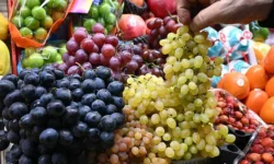 Россельхознадзор укрепляет стандарты ЕАЭС через Армению rosselhoznadzor ukreplyaet standarty eaes cherez armeniyu-fabrec-ru-0
