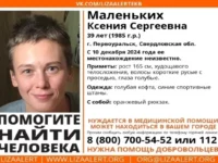aktivnye poiski ksenii malenkih v sverdlovskoj oblasti prodolzhayutsya s uchastiem liza alert-lavi-su-173501593500-0