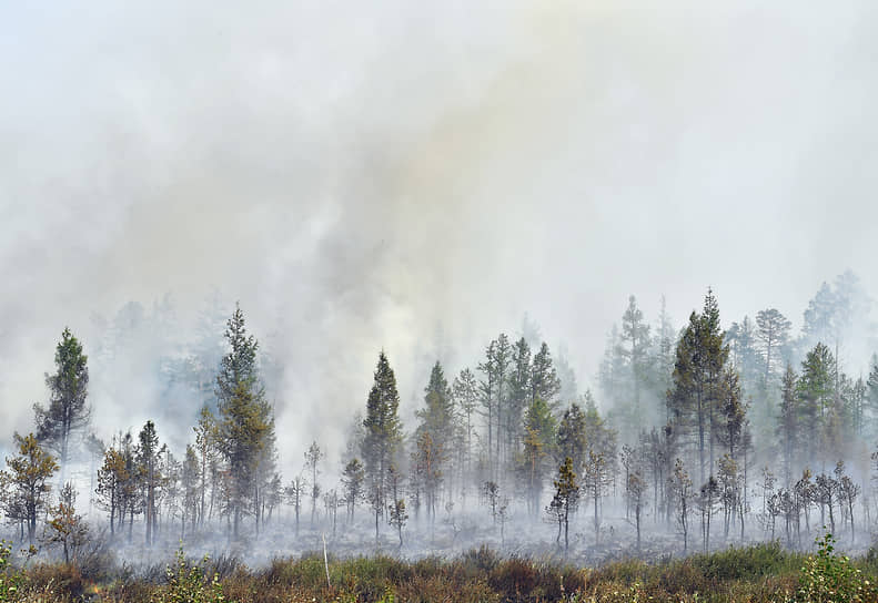 Александр Осипов - в Забайкалье повысили премии за защиту лесов от пожаров-0