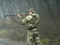 andrej siczko rasskazyvaet o novovvedeniyah v pravilah ohoty ot rossijskoj assocziaczii i minprirody-lavi-su-174410932900-0