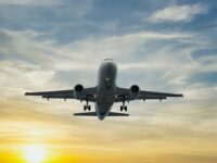 bezopasnaya posadka  737800    krolik ne pomeha-lavi-su-174487380300-0