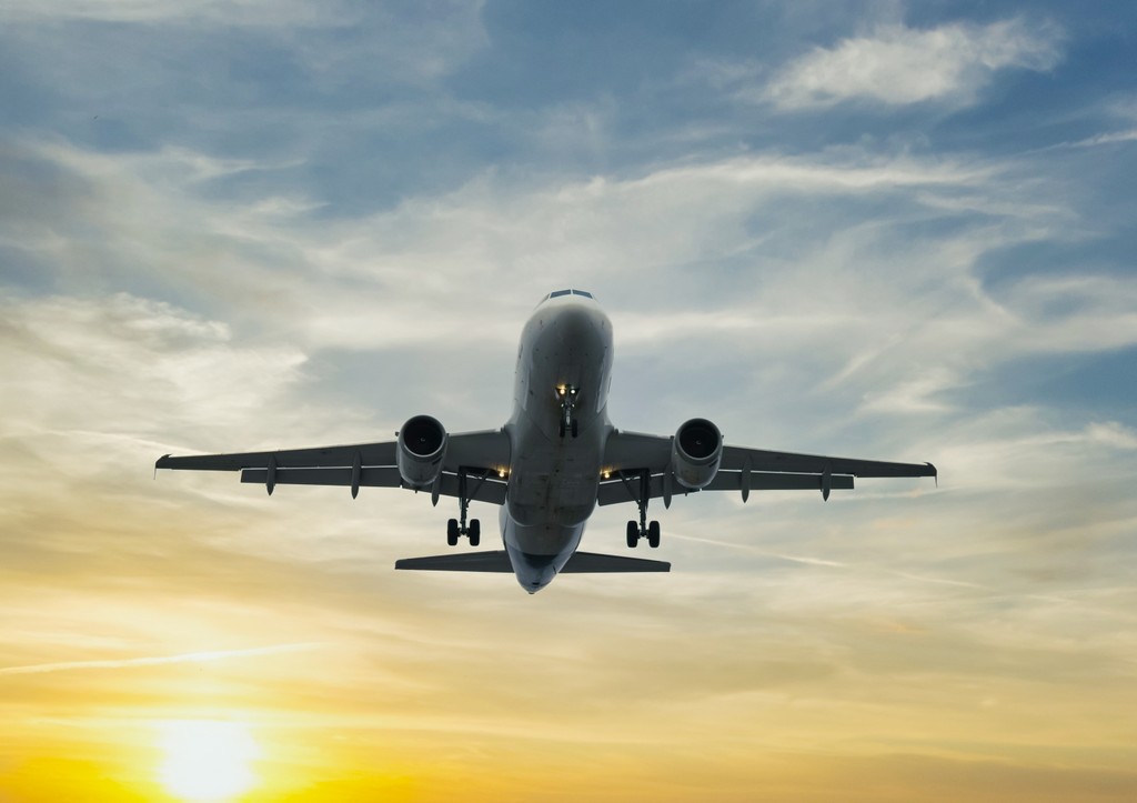 Пассажирский самолет вспыхнул из-за кролика в двигателе