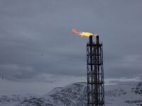 dzhennifer grenholm o perspektivah spg i ustojchivom razvitii energetiki ssha-lavi-su-173442497500-0