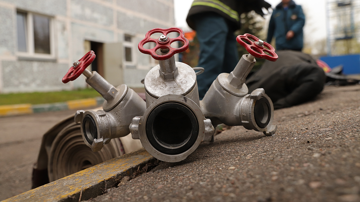 В Подольске отдыхающие случайно сожгли чужой Lexus во время жарки шашлыка