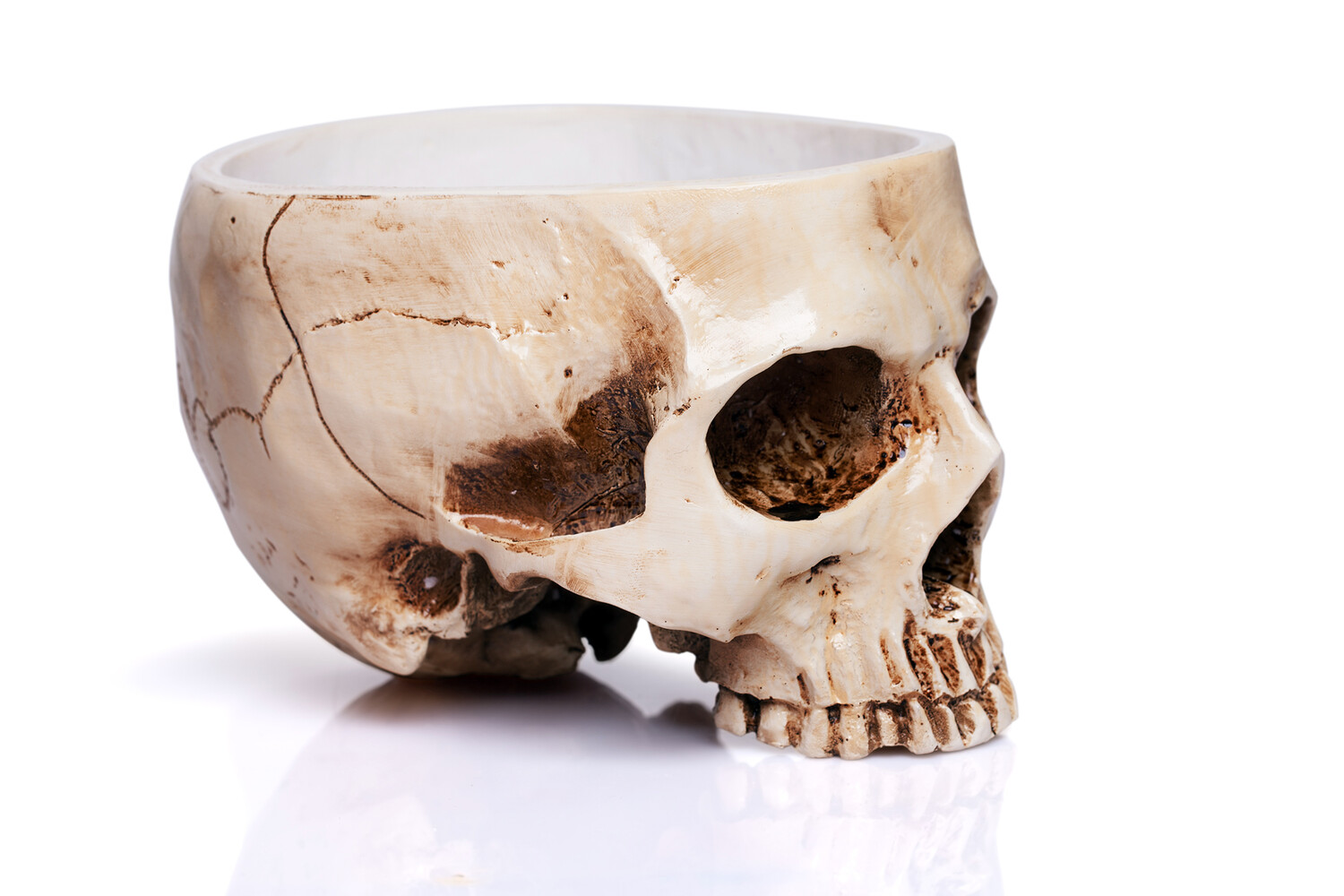 История престижа и уникальные традиции Вустер-колледжа Оксфорда с Эммой Уотсон-0