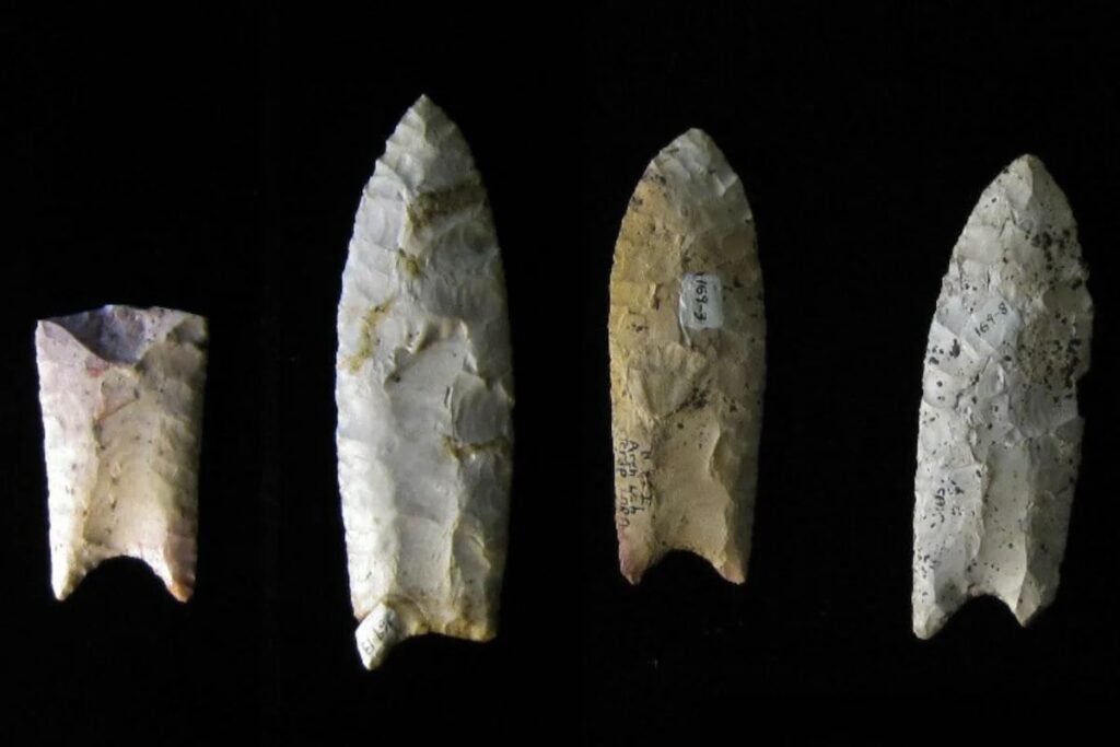 Каменное орудие труда