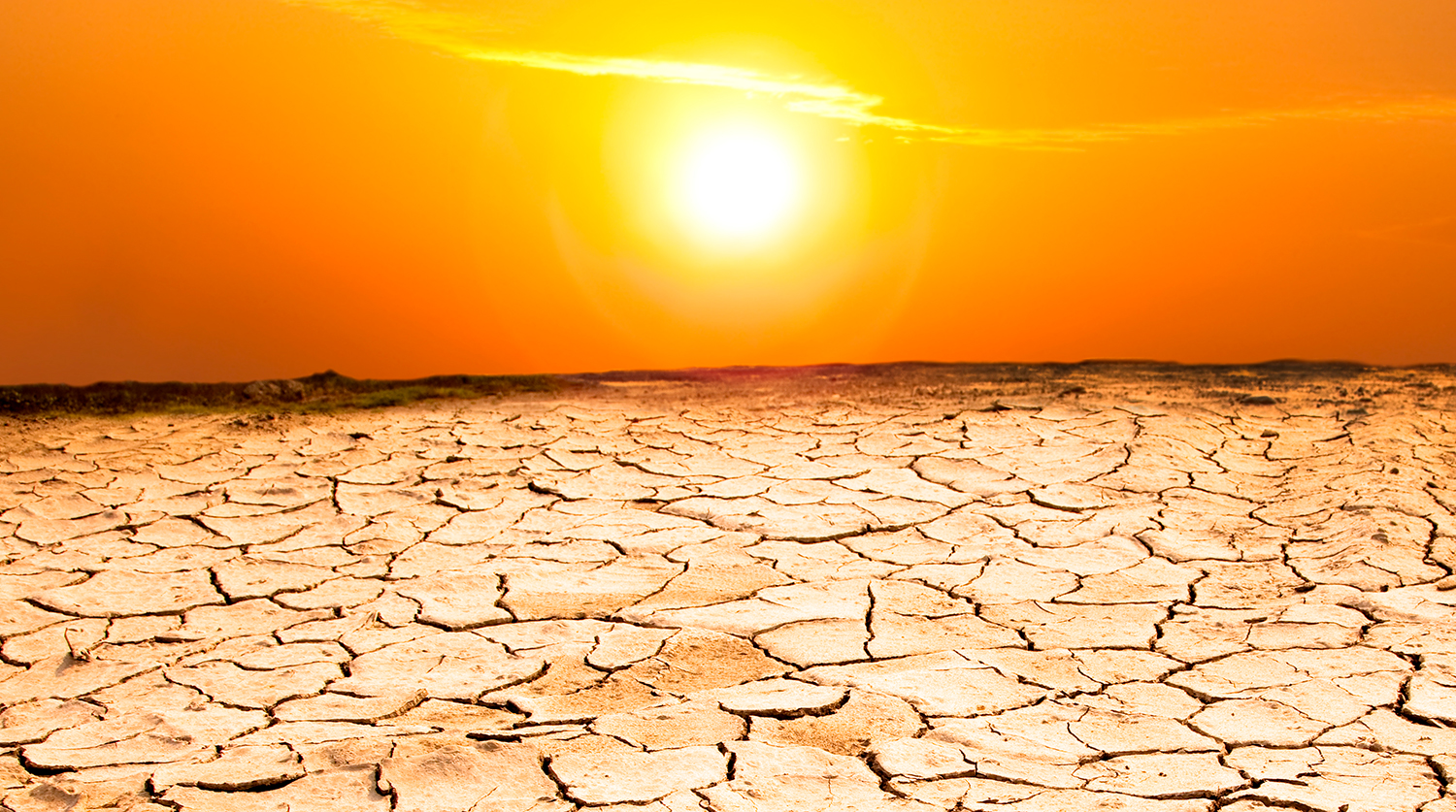 Кембриджский университет раскрыл связь засухи и нашествия пиктов на Британию-0