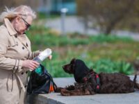 larisa ficzner i vladimir golubev o svyazi porody sobaki i harakterom hozyaina-lavi-su-174496340100-0