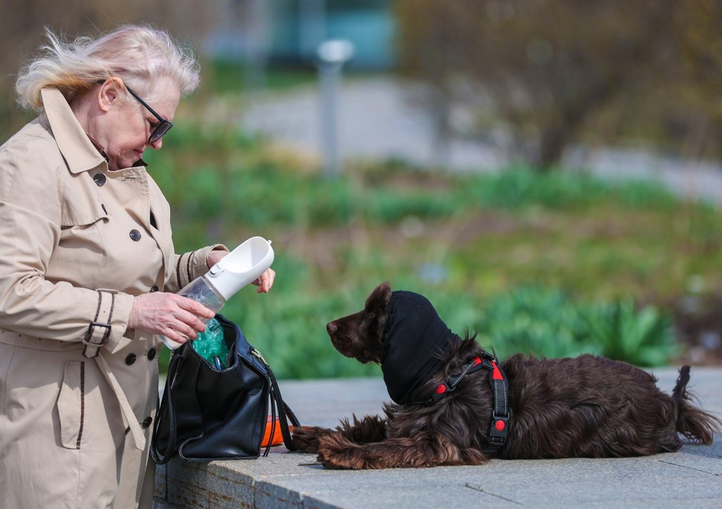 Психолог объяснила связь между породой собаки и характером хозяина