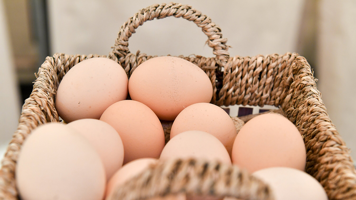 Врач-диетолог Макиша назвала продлевающий молодость и защищающий от рака продукт