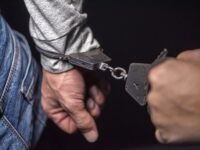 operacziya policzii pytyaha i vladimira zavershilas uspeshnym predotvrashheniem ugrozy-lavi-su-173700572500-0