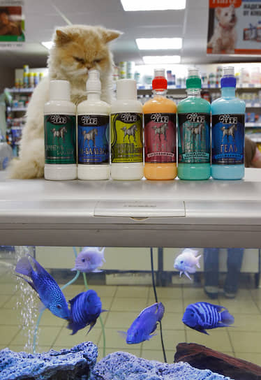 Платформа ОФД фиксирует новые тренды в росте онлайн-продаж зоотоваров-0