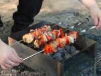 Роскачество и Рыбный союз дают советы по выбору мангала для пикника Отдых горожан в Битцевском лесопарке