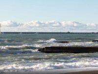 shtraf volgatransnefti ot rosprirodnadzora za inczident s tankerom volgoneft239-lavi-su-174537944900-0
