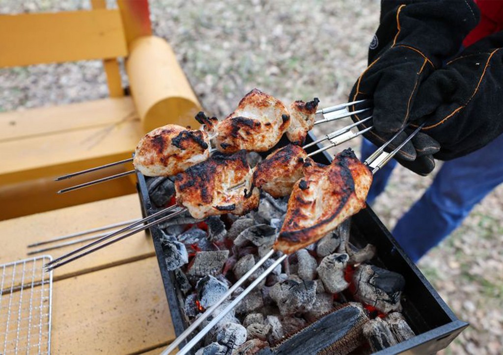 Россиянам раскрыли стоимость идеального мангала для шашлыков