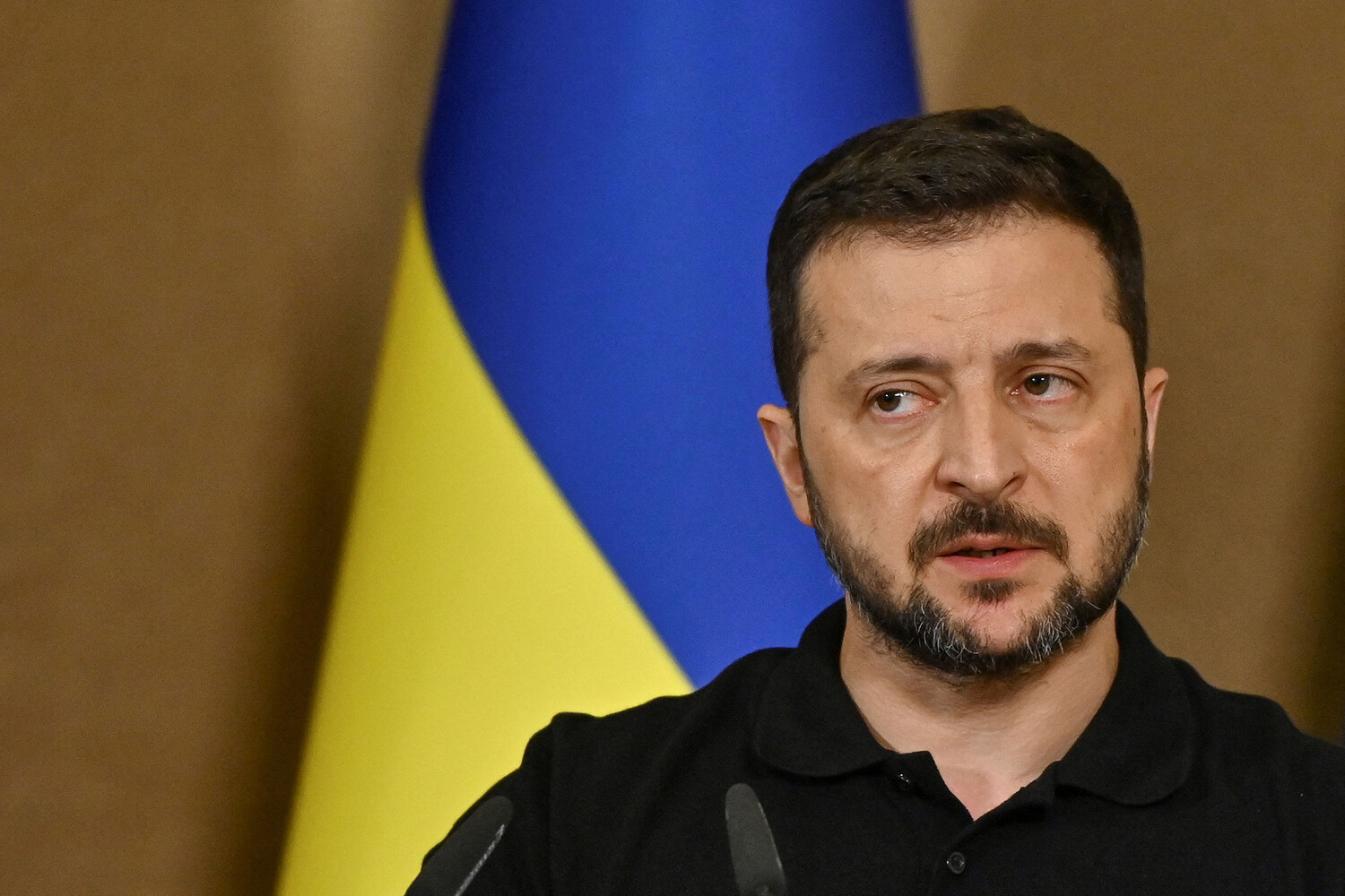 Торговая марка ZELENSKYY и ВОИС: тайны глобальной регистрации Владимира Зеленского-0