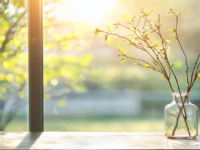 Вербное воскресенье и Пасха светлые традиции с веточкой вербы verbnoe voskresene i pasha svetlye tradiczii s vetochkoj verby-lavi-su-174428868800-0