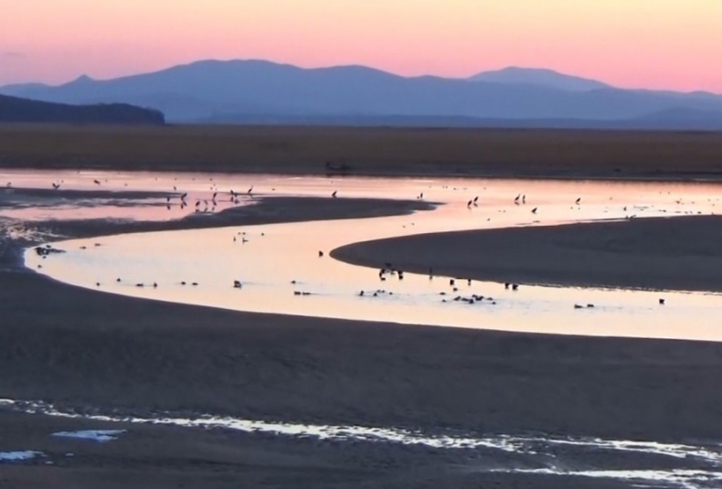 В Приморье вернулись краснокнижные пернатые ФГБУ "Земля леопарда"