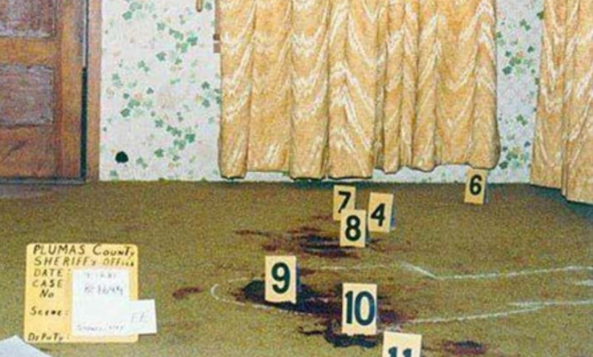 Жуткие истории, от которых по спине пробежит холодок