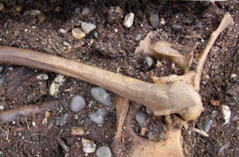 Жуткие истории, от которых по спине пробежит холодок