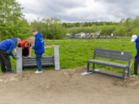 aleksej viharev skamejki2_lavi