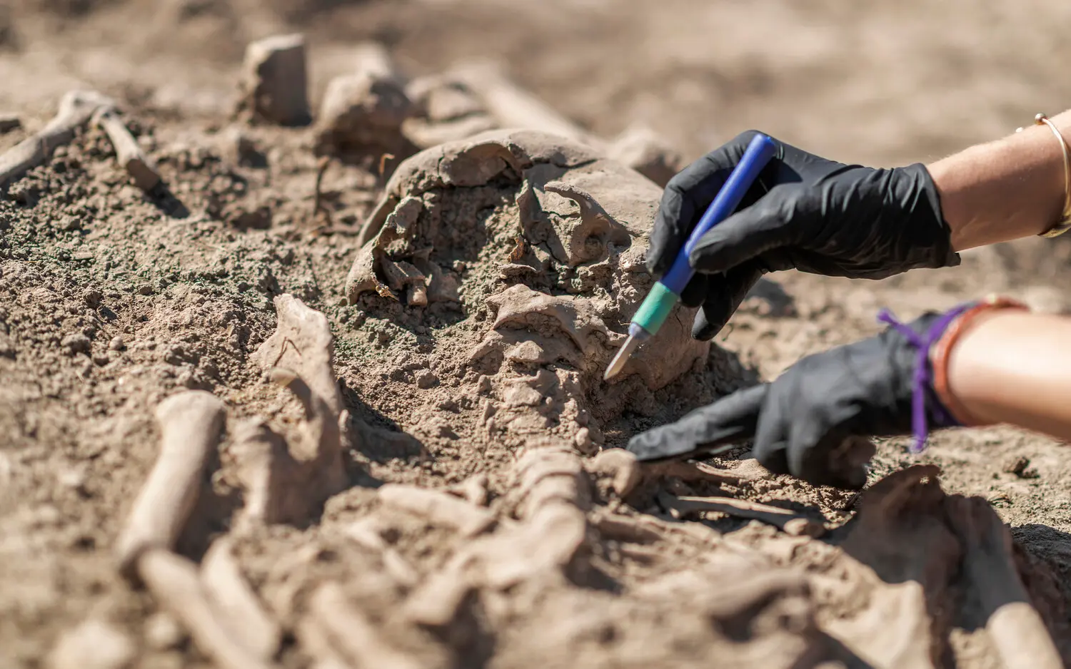 Анджелина Локер представляет новое видение майя в Дос Омбрес-0